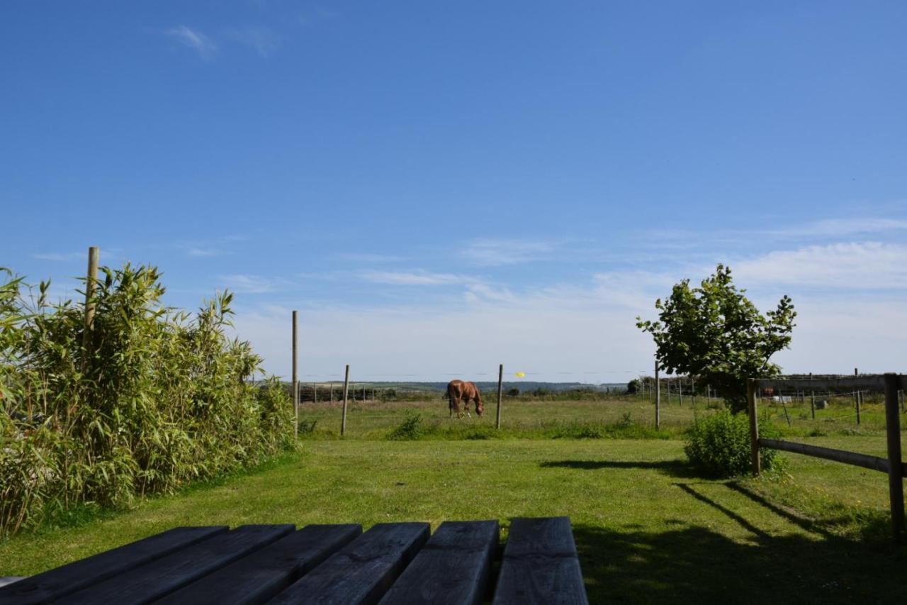 Le Clos De L'Angley Gites Et Ecurie Caffiers Exterior foto